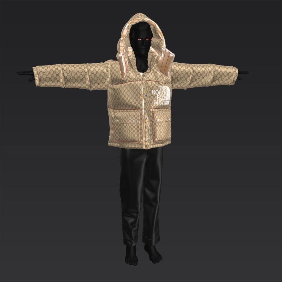 3d Gucci x TheNorfhFace puffer jacket fashion clothing Hypebeast 3D model_1