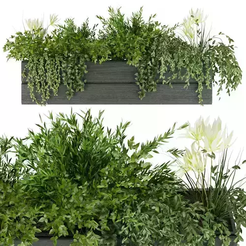 Collection plant vol 90 3D model
