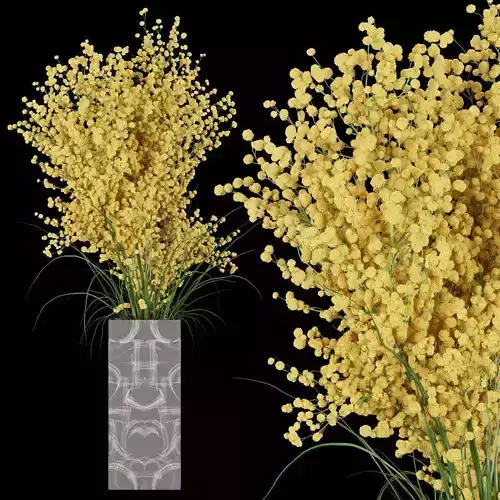 Collection plant vol 91 3D model