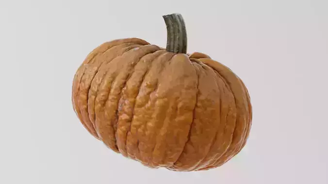 Orange Pumpkin 3D model