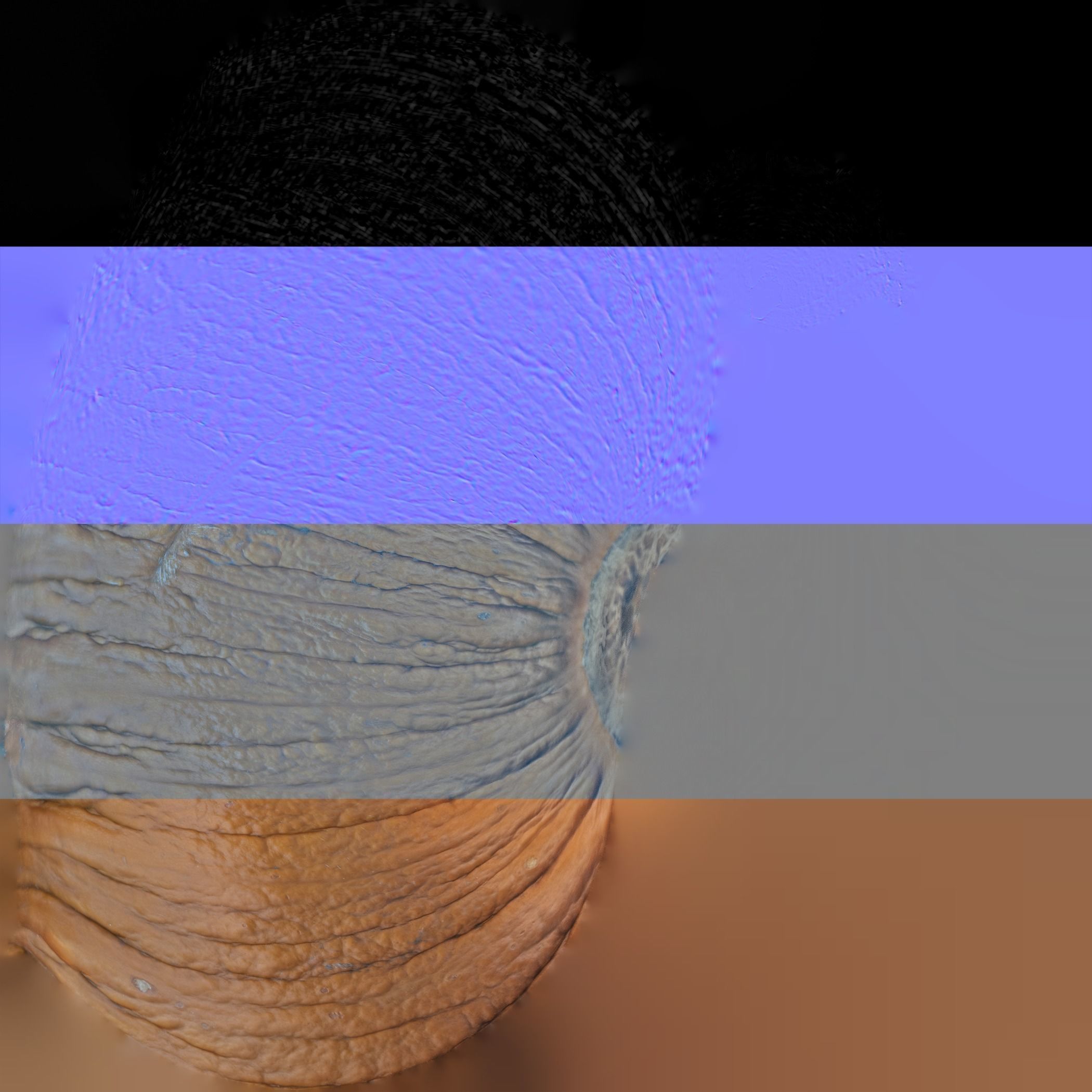 Orange Pumpkin 3D model_8