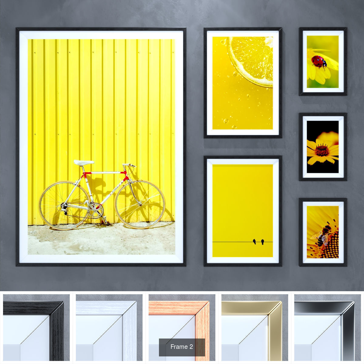 Frame 1-5 3D Model Collection_3