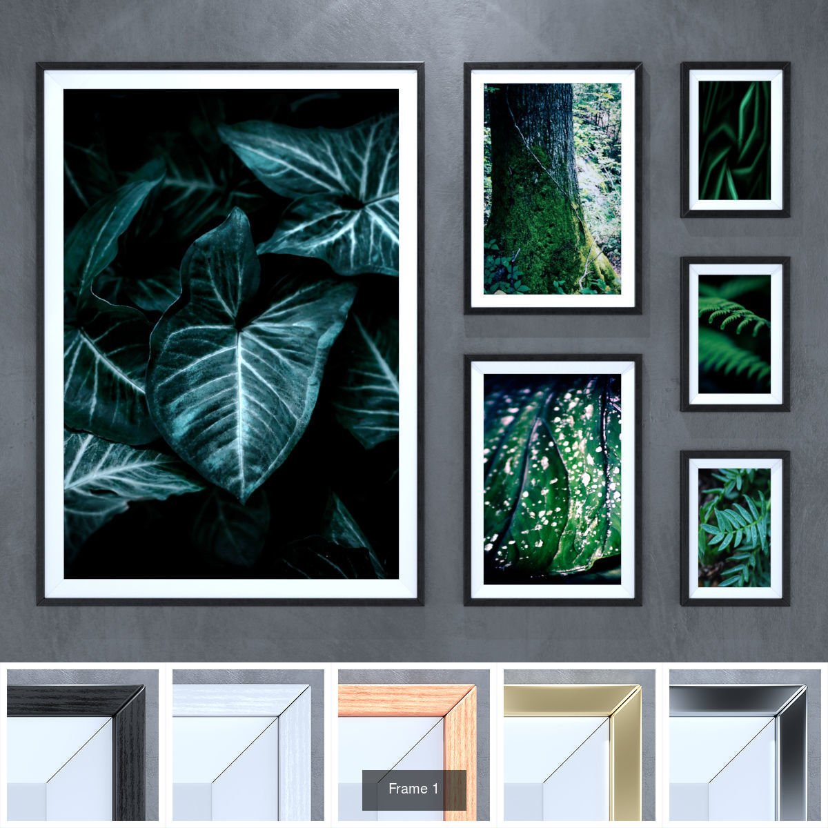 Frame 1-5 3D Model Collection_2