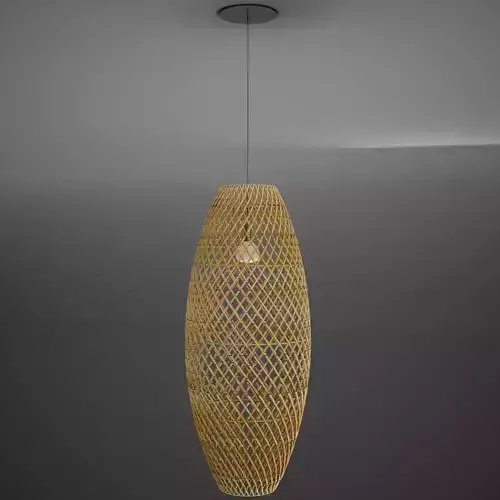 Wicker rattan long oval lamp HD