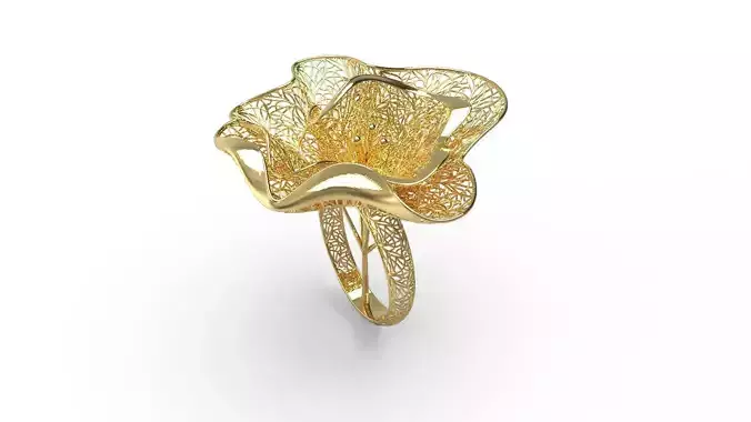 Ultra Vision Ring 71