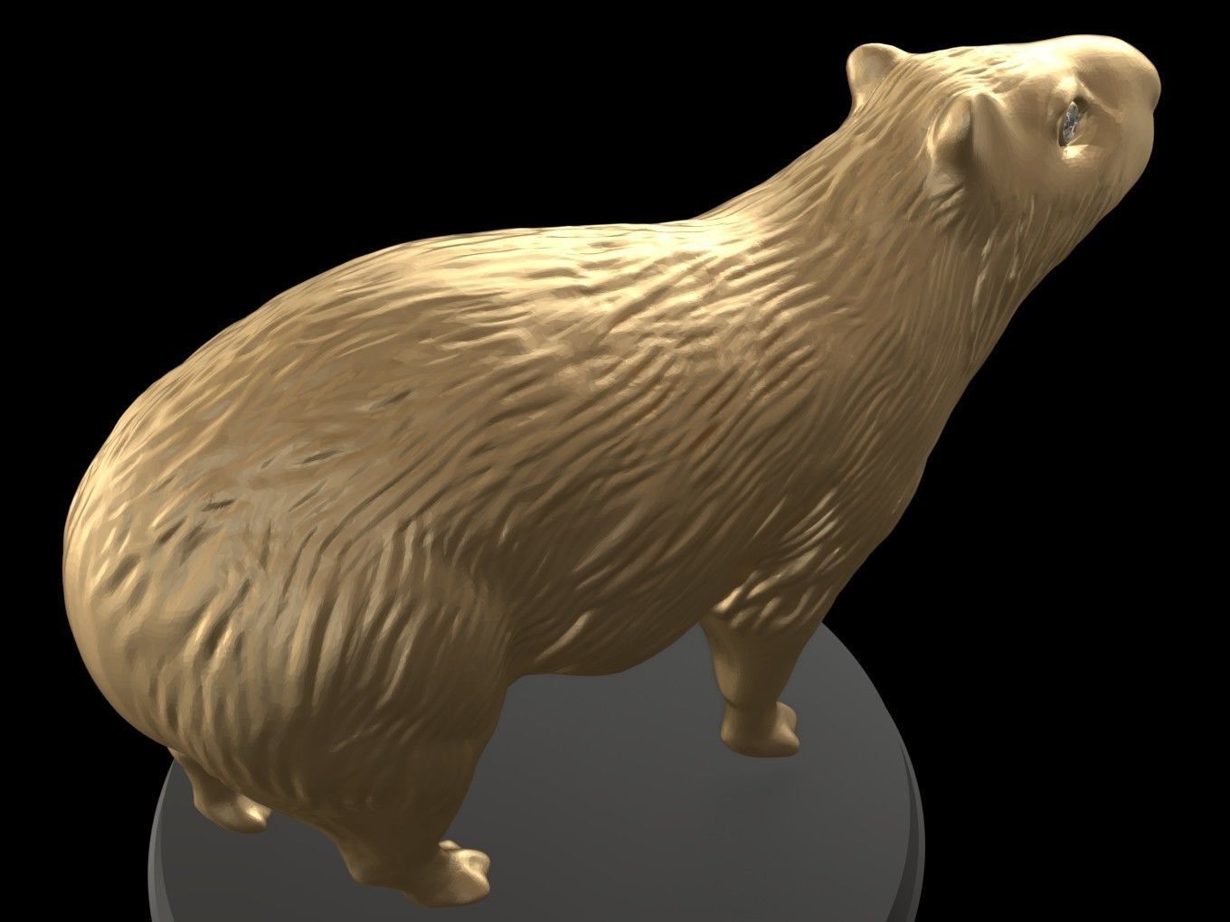 Gold Capybara 3D print model_3