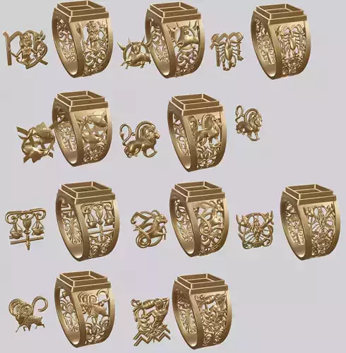 The ten signs of the zodiac package