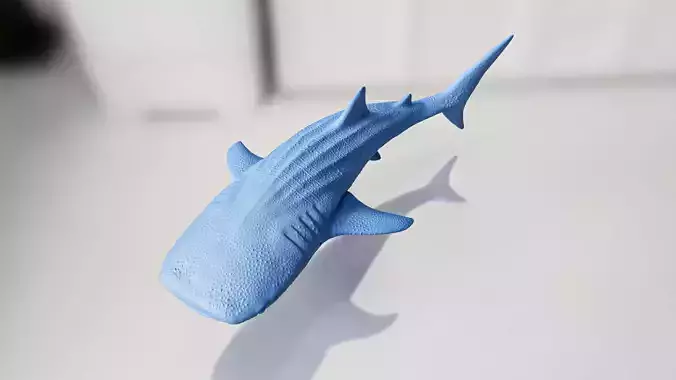 Cute but Realistic Whale Shark Toy Model