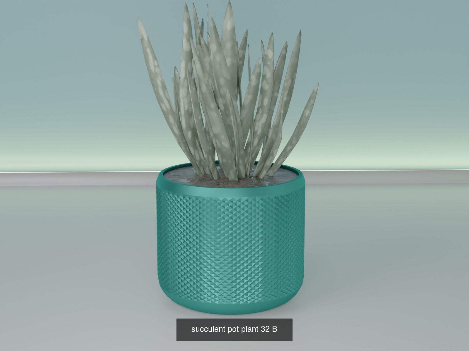 plant pot colection 1-50  3D Model Collection_44