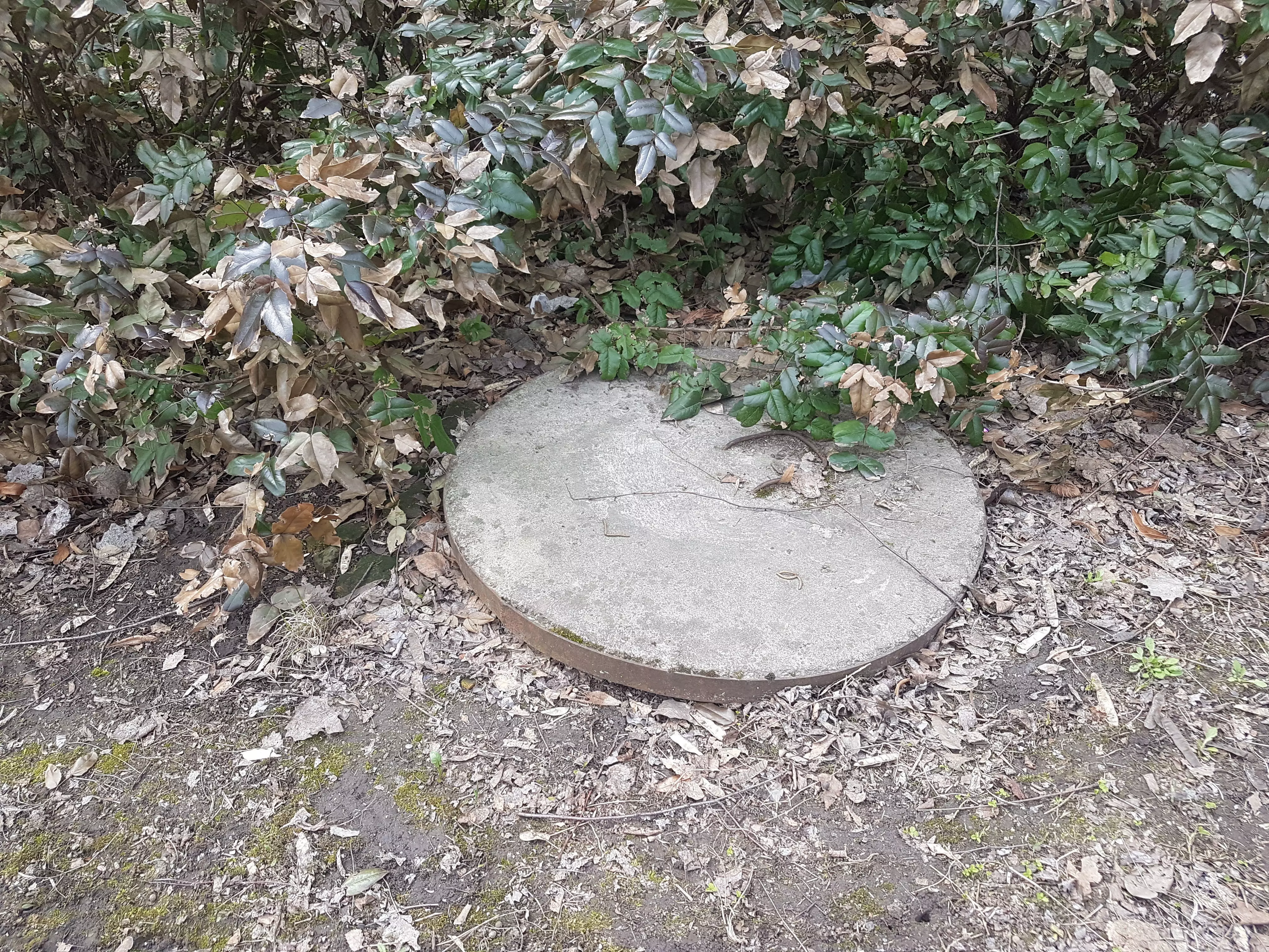 3DF Zephyr - Sewer Hatch type 9 Low-poly 3D model_0