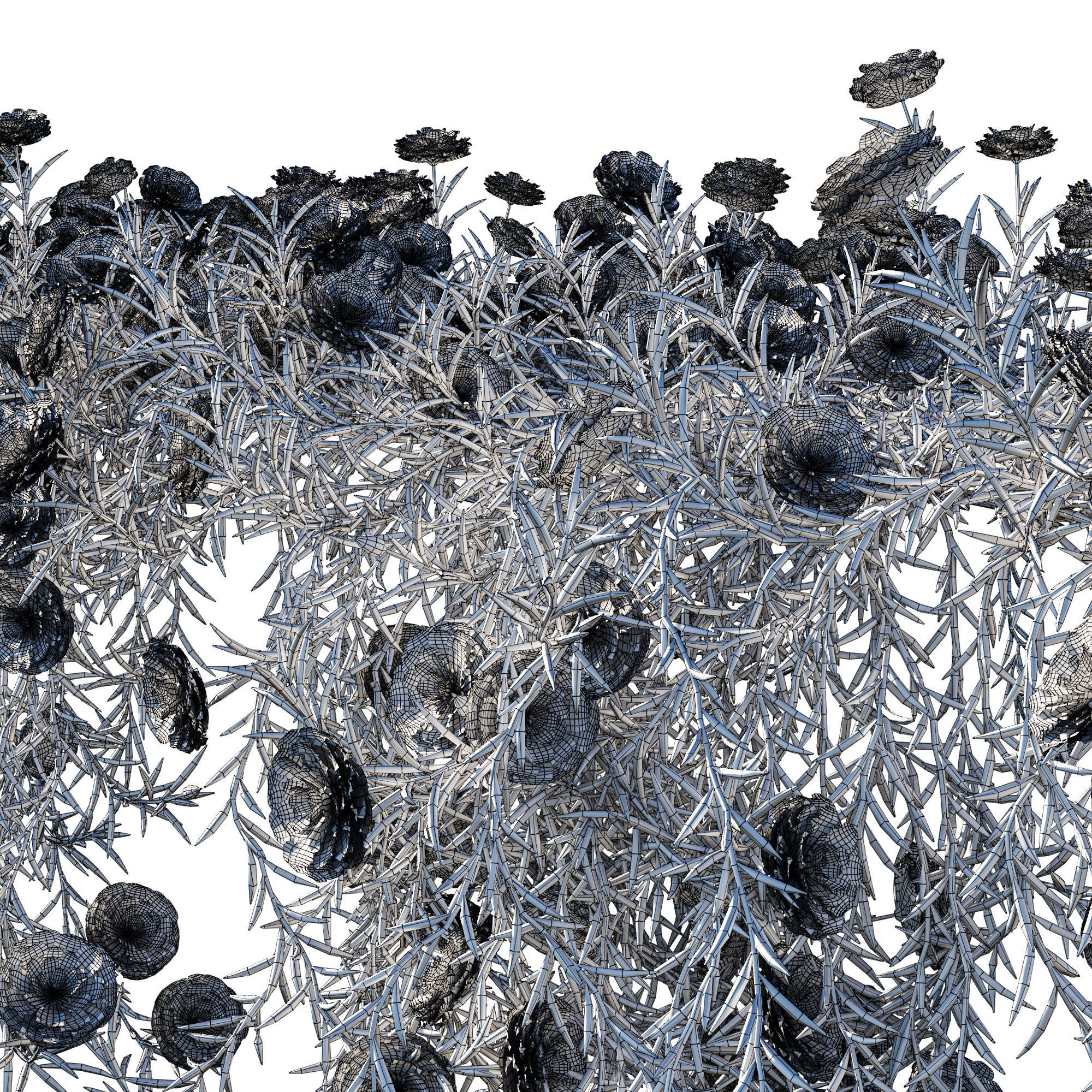 Portulaca grandiflora 03 3D model_2