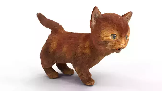 Red Cute hair  fur Cat Animated