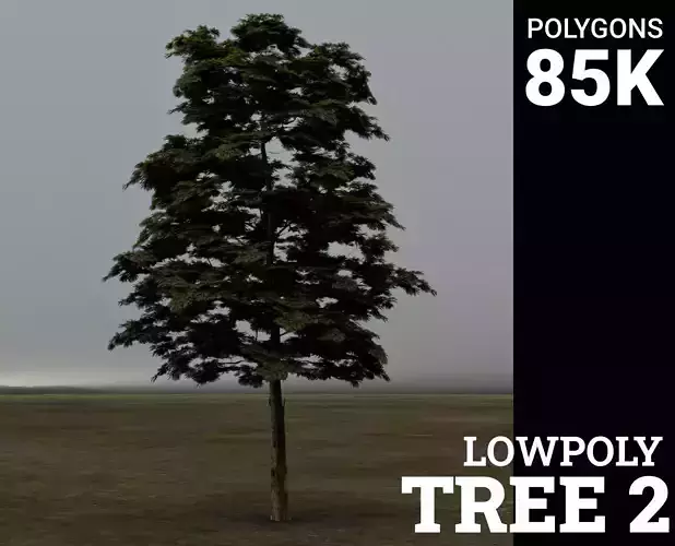 Tree 2 Lowpoly pine 3D model