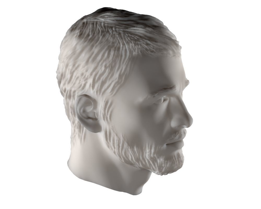 Head man 002 3D model_3