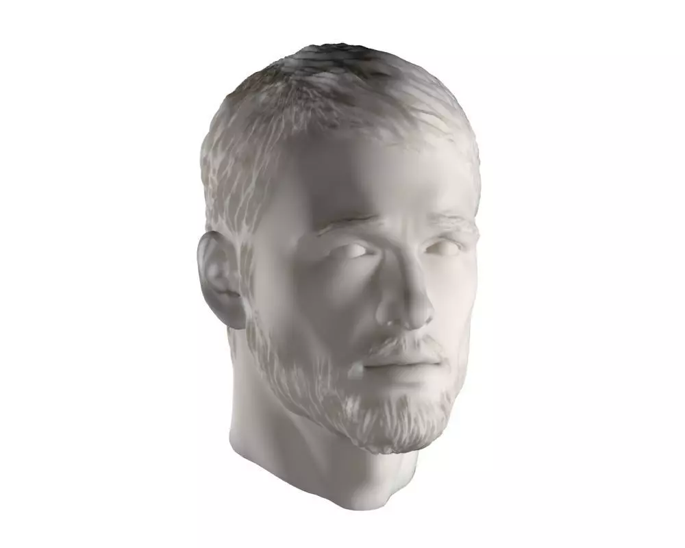 Head man 002 3D model_0