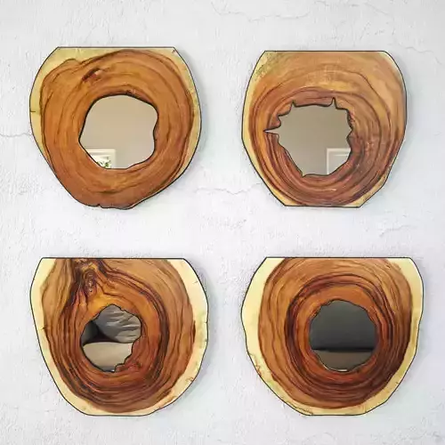 Organic Monkey Pod Mirrors 1