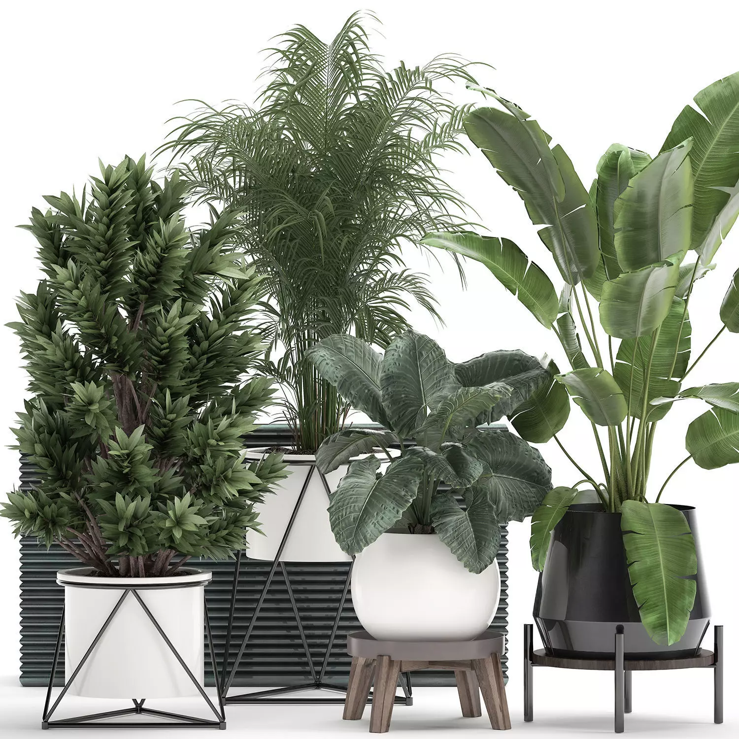 Houseplants in a flowerpot for the interior 928 3D model
