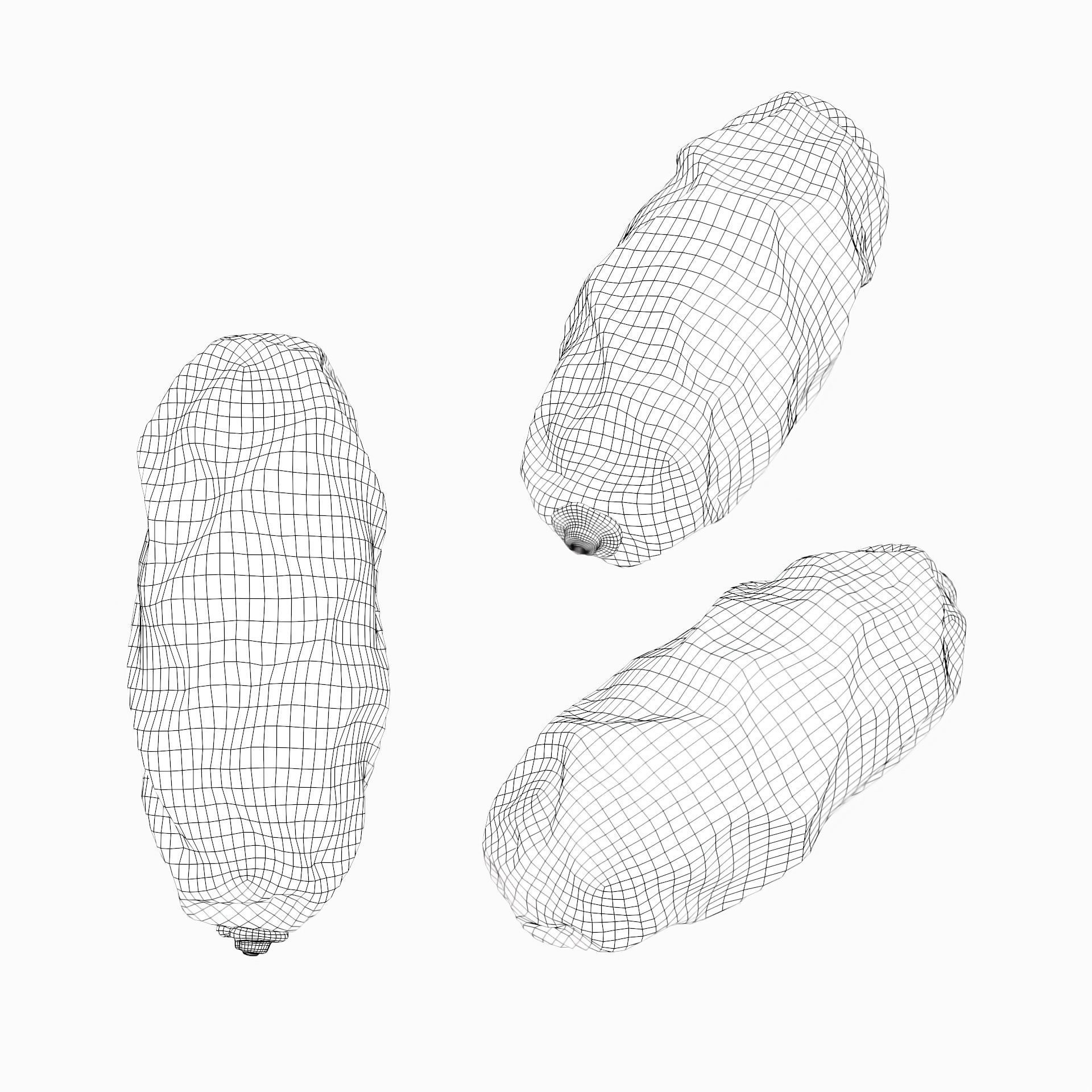 Date palm fruit 2 with 4K PBR textures 3D model_7