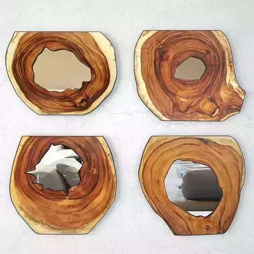 Organic Monkey Pod Mirrors 2