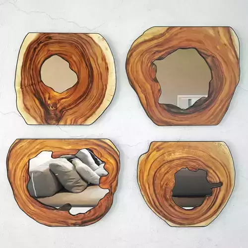 Organic Monkey Pod Mirrors 3