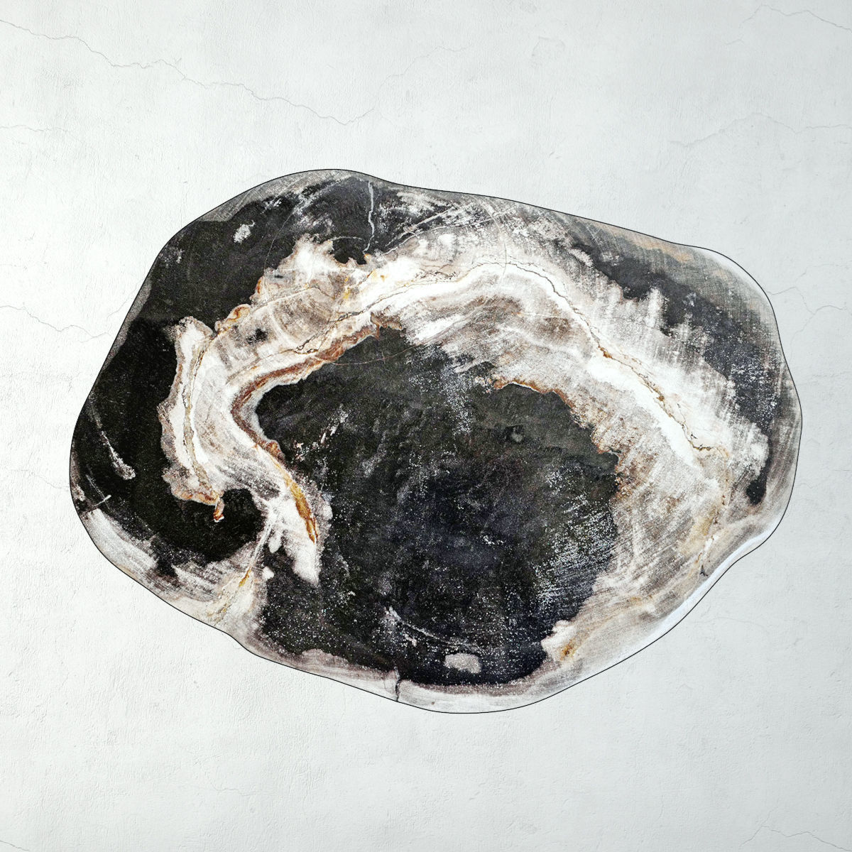 Petrified Wood Slice Coffee Table 1 3D model_5