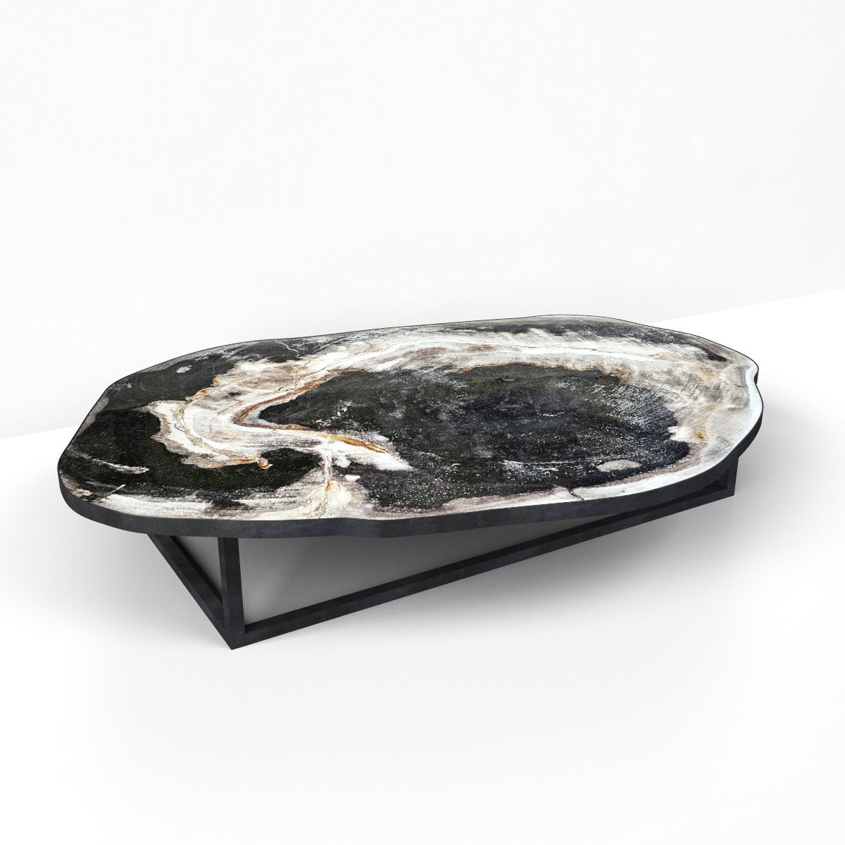 Petrified Wood Slice Coffee Table 1 3D model_1
