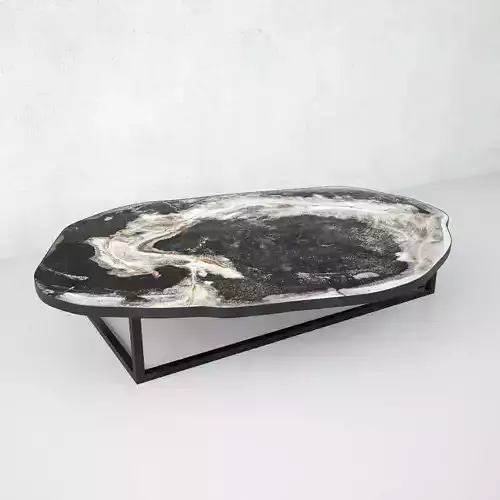 Petrified Wood Slice Coffee Table 1 3D model