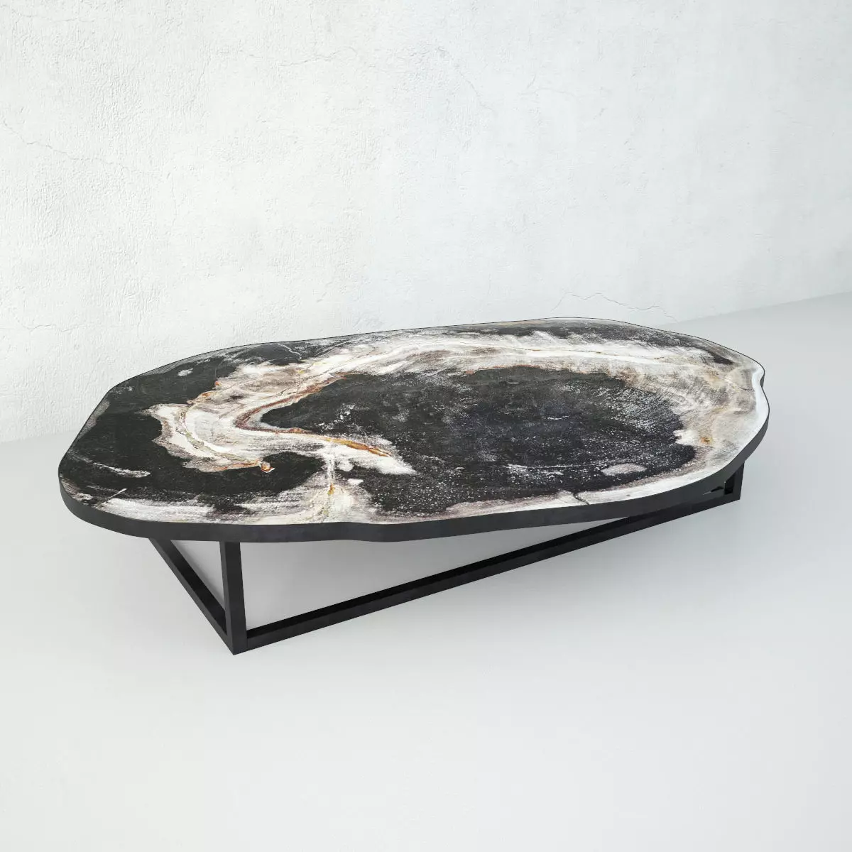 Petrified Wood Slice Coffee Table 1 3D model_0