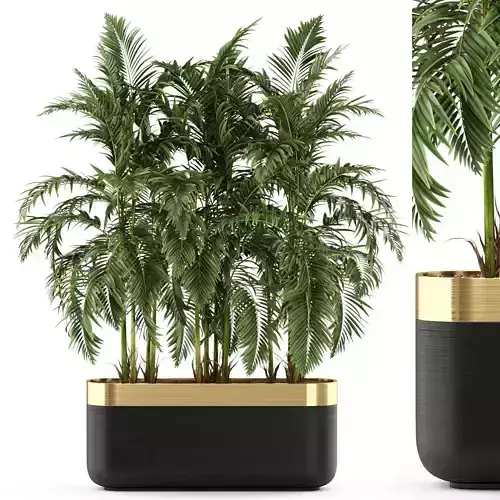 Plants collection 484 3D model