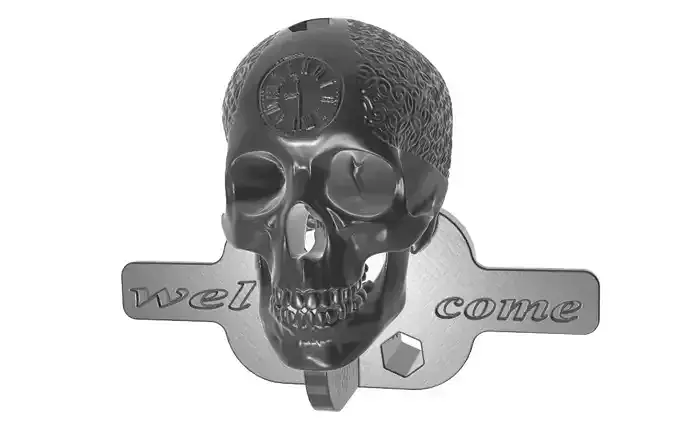 Skull holder