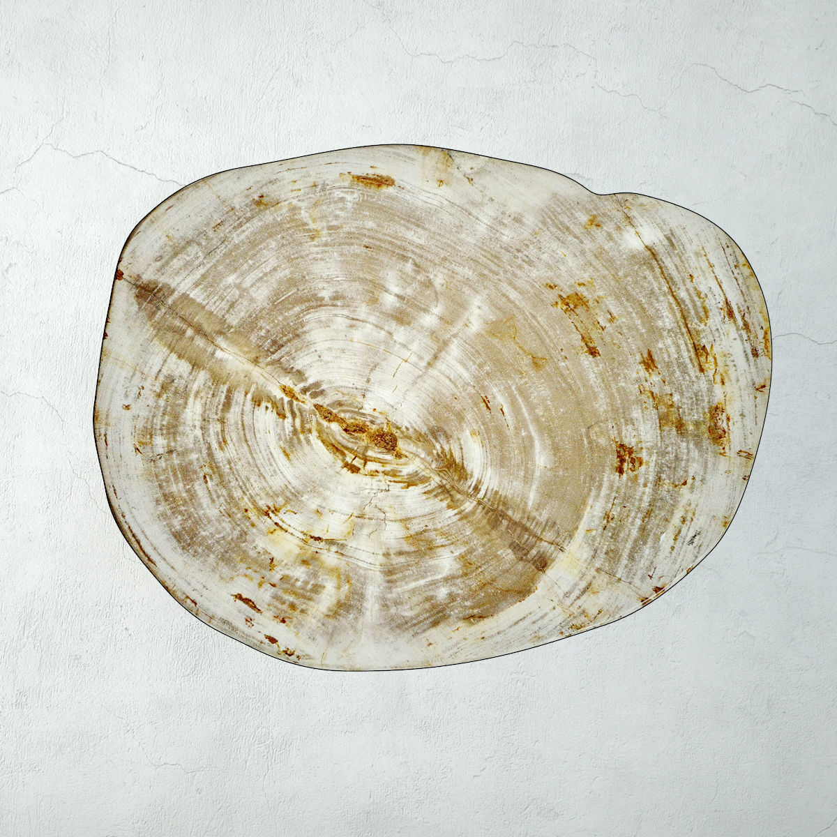 Petrified Wood Slice Coffee Table 2 3D model_5