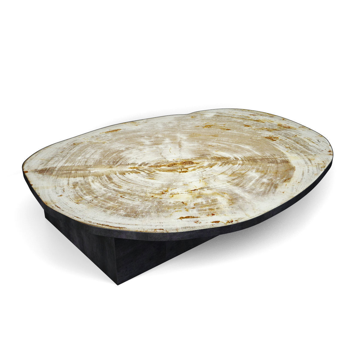Petrified Wood Slice Coffee Table 2 3D model_1