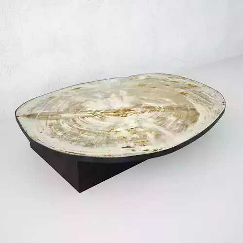 Petrified Wood Slice Coffee Table 2 3D model