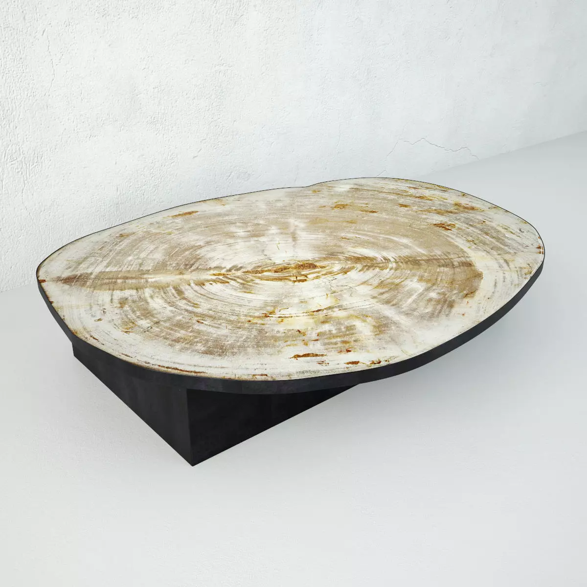 Petrified Wood Slice Coffee Table 2 3D model_0