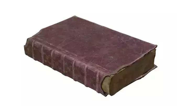Old book 3D model