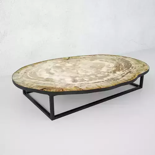 Petrified Wood Slice Coffee Table 3 3D model