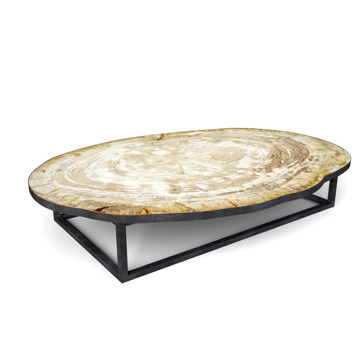 Petrified Wood Slice Coffee Table 3 3D model_1