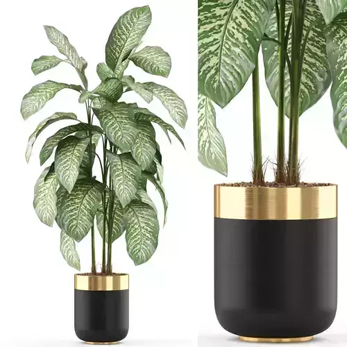 Plants collection 489 3D model