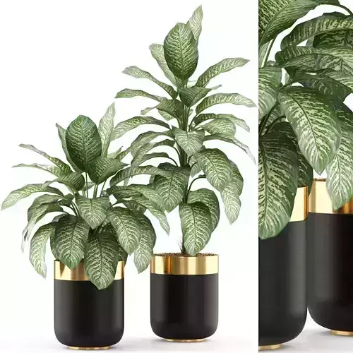Plants collection 491 3D model