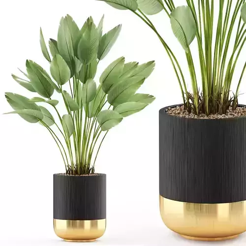 Plants collection 492 3D model
