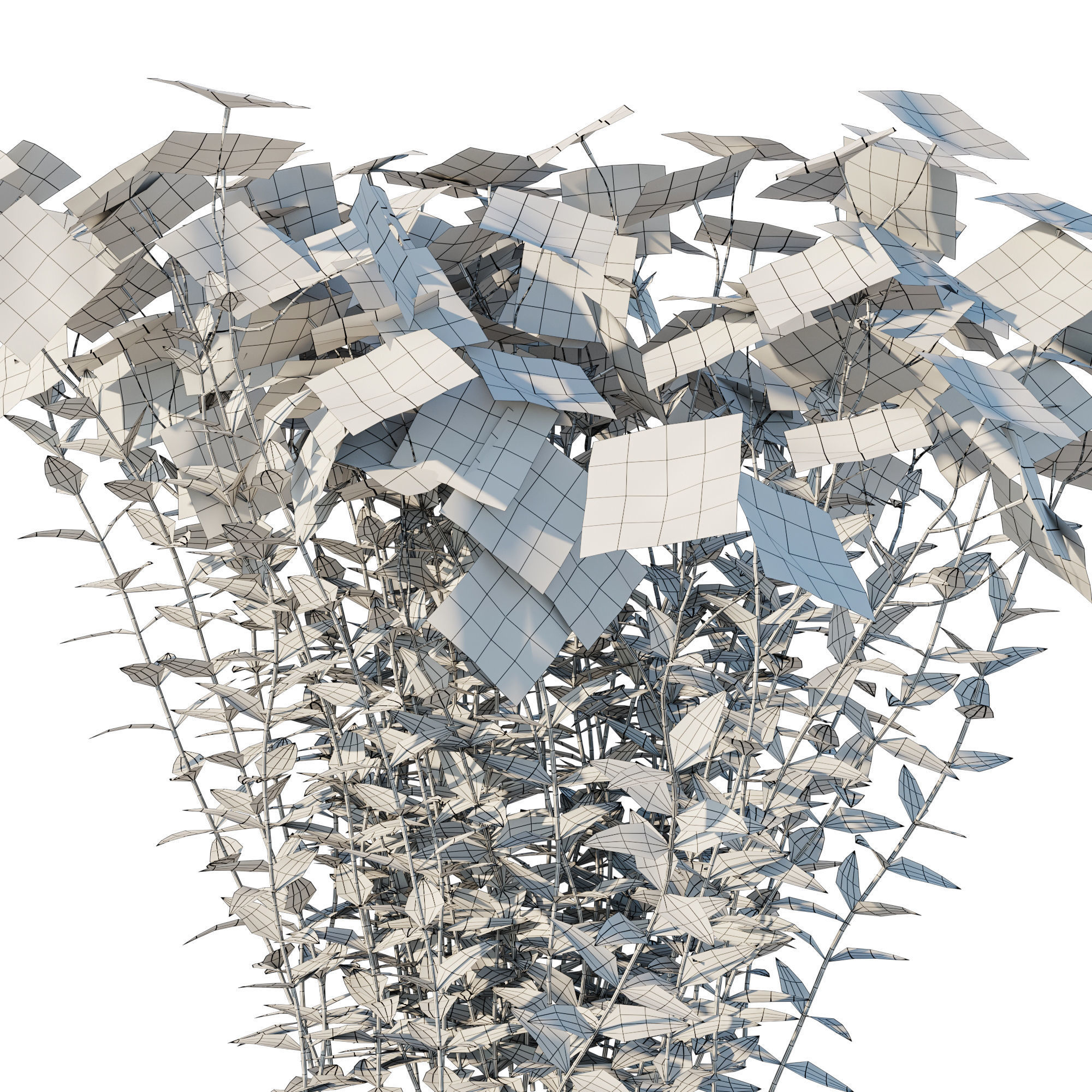 Wild Blue Phlox 3D model_2