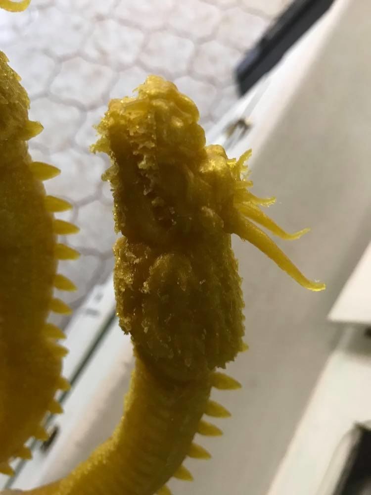 King Ghidorah Headphones Holder 3D print model_40