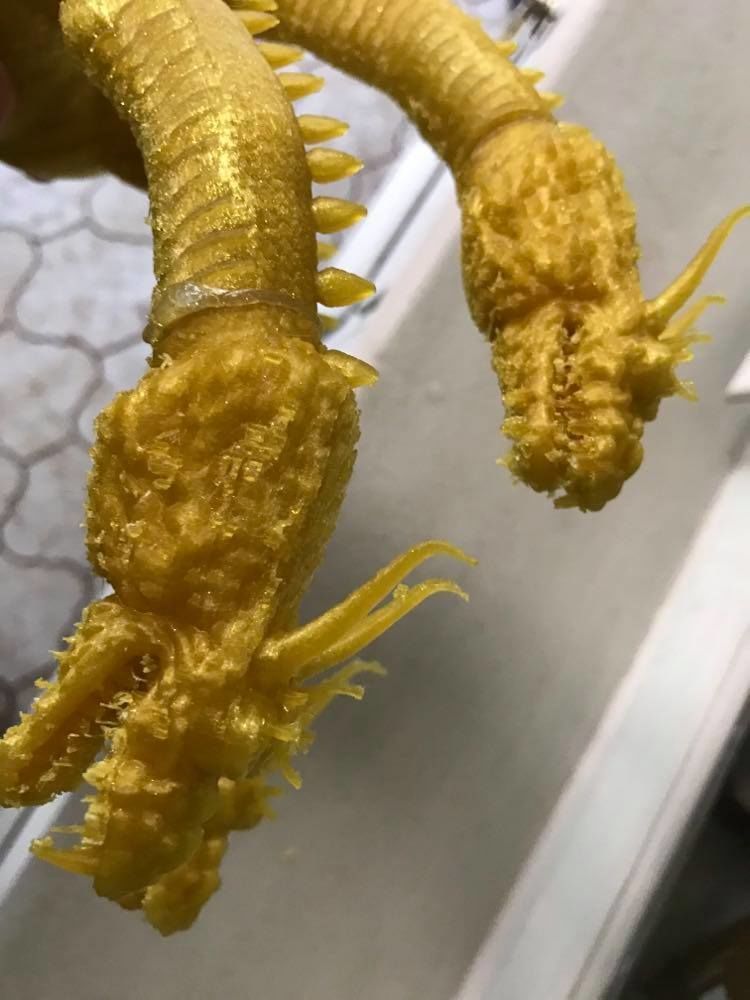 King Ghidorah Headphones Holder 3D print model_44