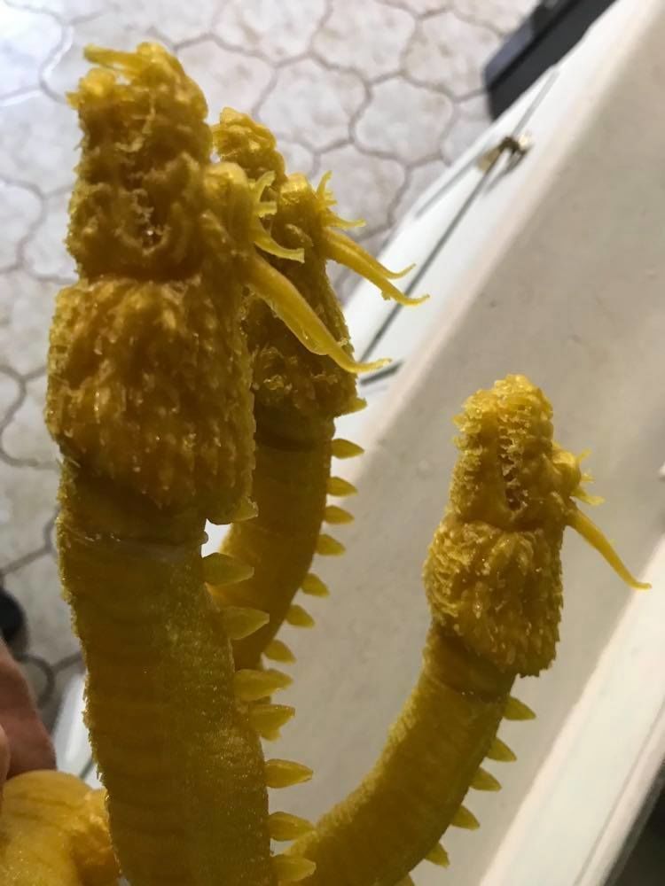 King Ghidorah Headphones Holder 3D print model_45