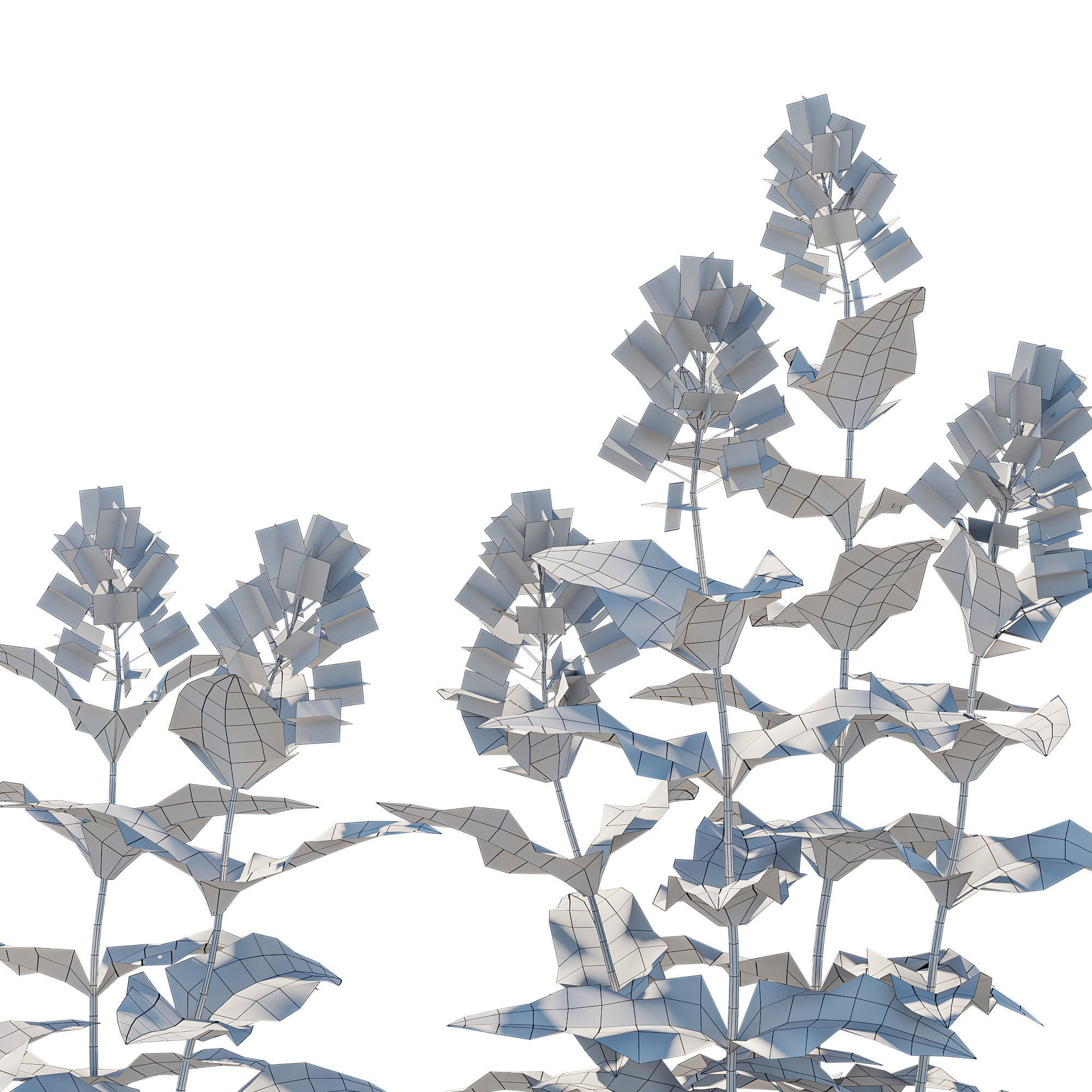 Prairie Penstemon 3D model_2
