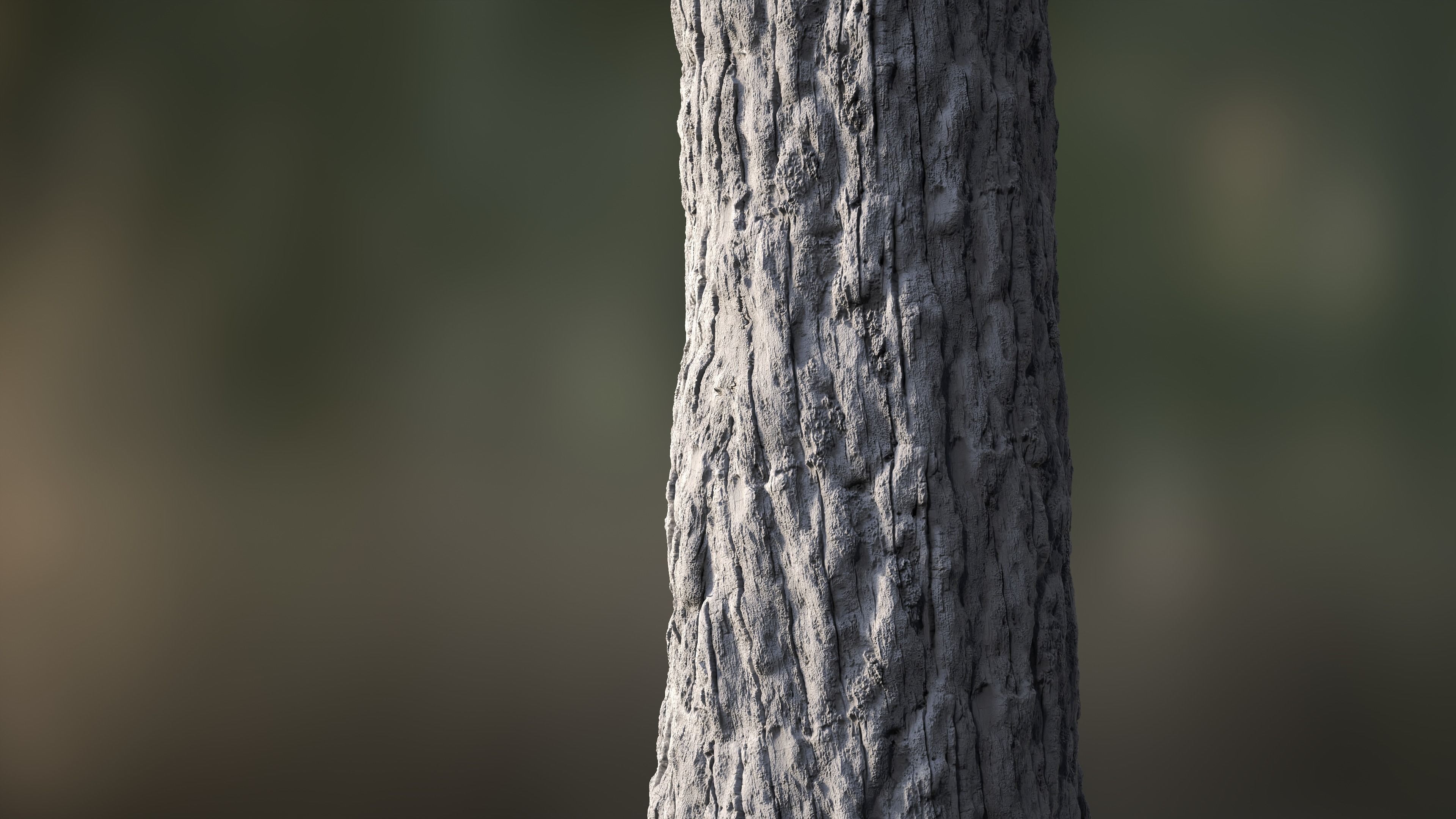 Texture Tree Bark Seamless 07 VR / AR / low-poly | CGTrader