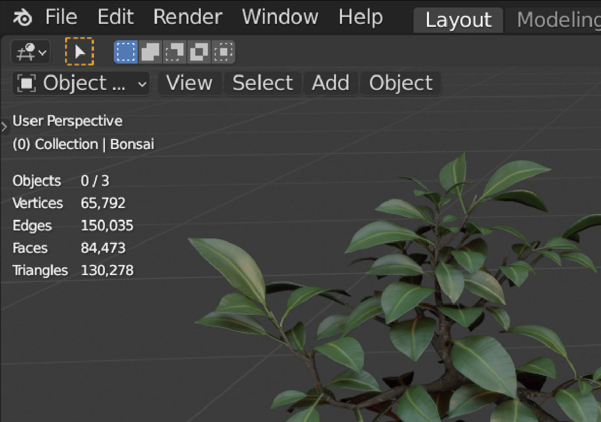 Bonsai Tree Small Ficus 3D model_8