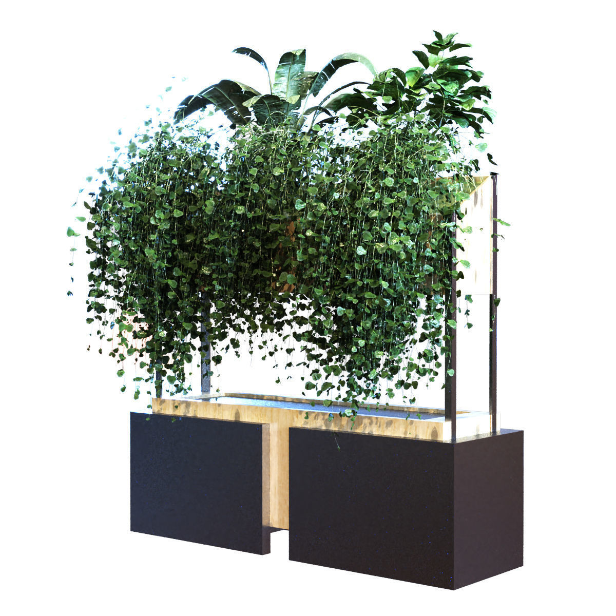 plant in box set 041 Low-poly 3D model_3