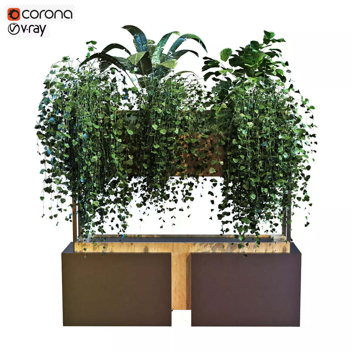 plant in box set 041 Low-poly 3D model_0