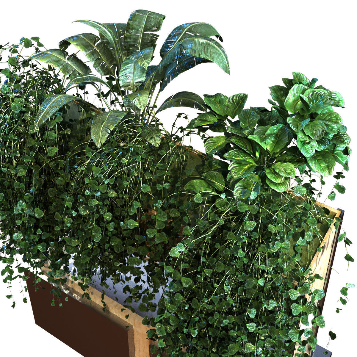 plant in box set 041 Low-poly 3D model_4